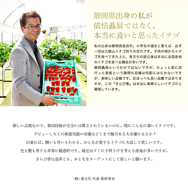 静岡県出身の私が依怙贔屓ではなく、本当に良いと思ったイチゴ
私の出身は静岡県島田市。小学生の遠足と言えば、必ず一回は久能山イチゴ狩りの世代です。子供の頃からイチゴを食べてきた上に、食文化の設立後は本当に全国各地のイチゴを食べる機会が多いです。
静岡贔屓というわけではないですが、ちょっと前に流行った章姫という静岡の品種は宅配にはむかないですが、美味しい品種です。紅ほっぺも良い品種ではありますが、この『きらぴ香』は本当に素晴らしいイチゴだと確信しています。
新しい品種なので、栽培技術が完全には確立されていないのに、既にこんなに凄いイチゴです。デビューしたての新進気鋭の女優はどこまで魅力ある大女優になるか?出来れば、酸いも甘いもわかる、おとなが愛するイチゴに大成して欲しいです。色も艶も香りも非常に魅惑的です。最近はすぐに子供うけを考える産地が多いですが、きらぴ香は是非とも、おとなをターゲットにして欲しいと願います。㈱食文化 代表 萩原章