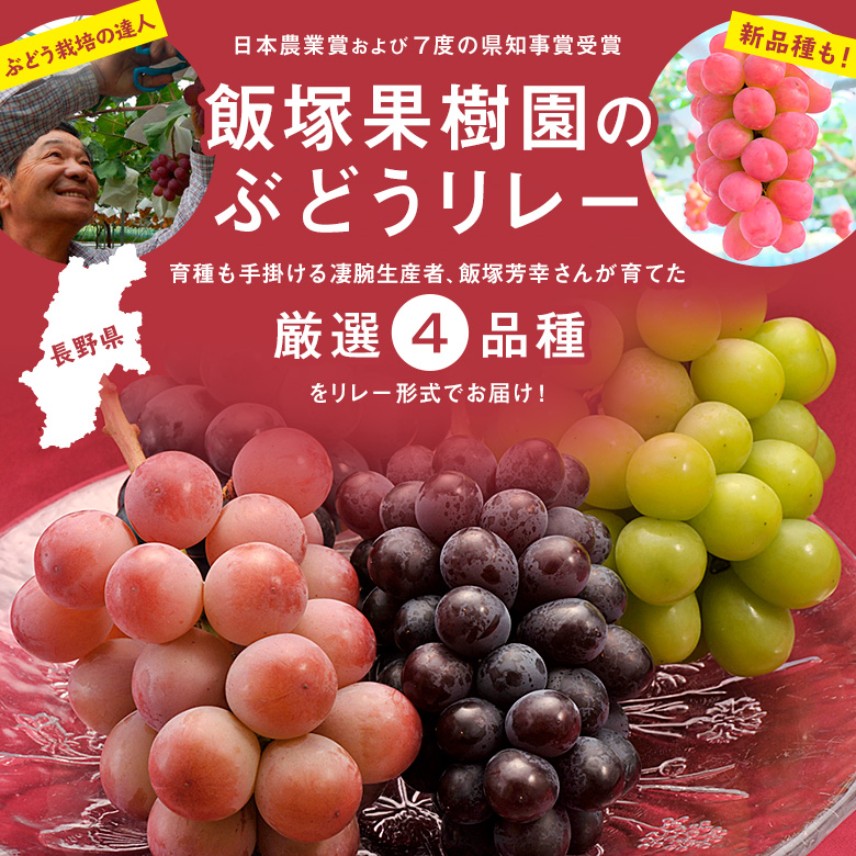 日本農業賞および7度の県知事賞受賞 育種も手掛ける凄腕生産者 飯塚芳幸さんが育てた厳選4品種をリレー形式でお届け!