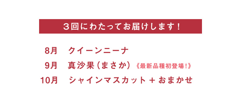 3回にわたってお届けします。8月 クイーンニーナ 9月 真沙果(まさか)最新品種初登場! 10月 シャインマスカット + おまかせ