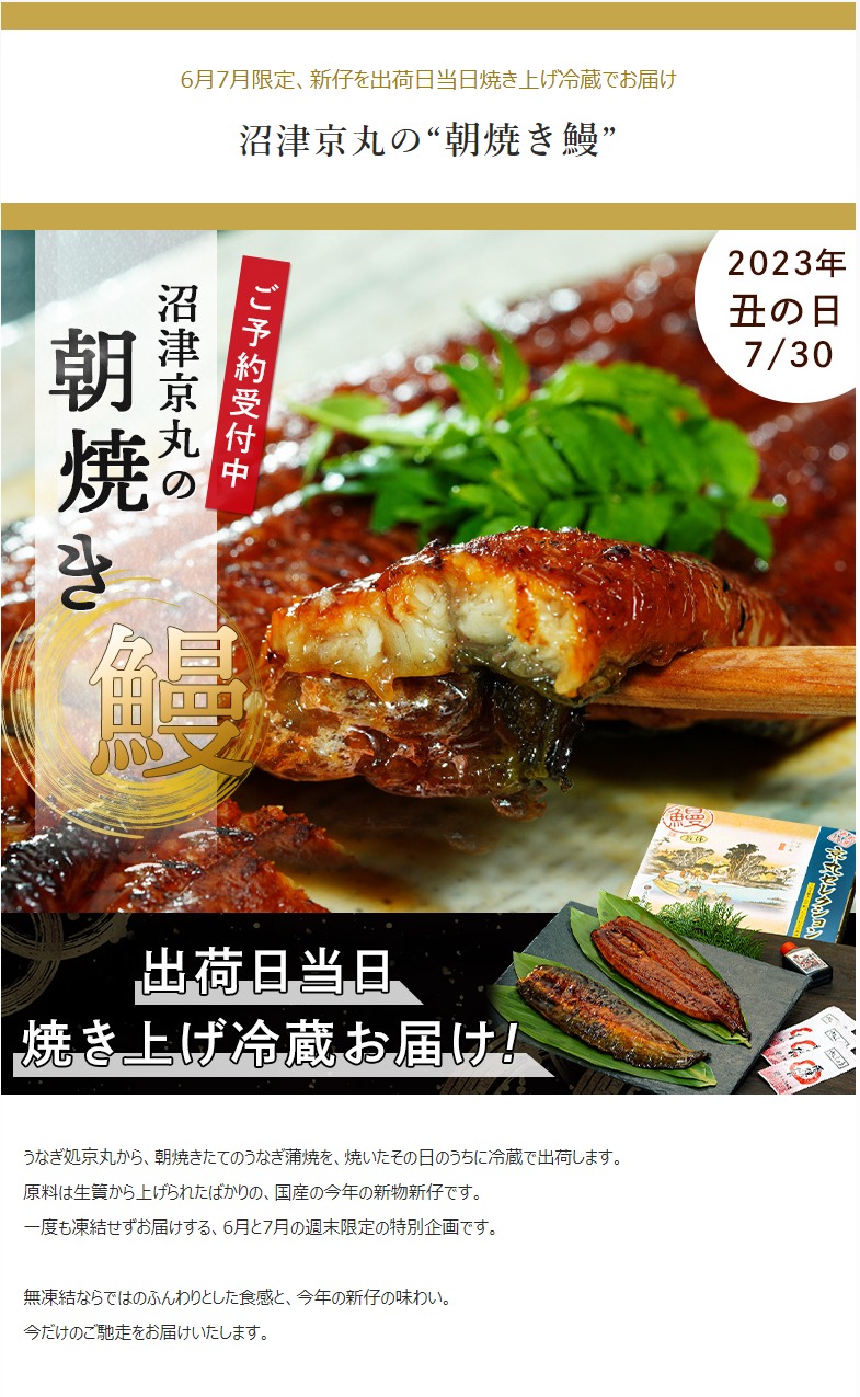 【新仔‼️】国産 うなぎの白焼き 8匹入り ヤママツ村田商店 / 大串サイズ｜白焼き｜国産新仔うなぎ炭火白焼き
