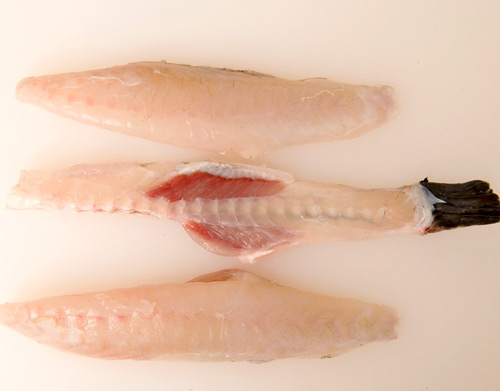 下関のとらふぐ 天然と養殖食べ比べ 美味お取り寄せ Dancyu