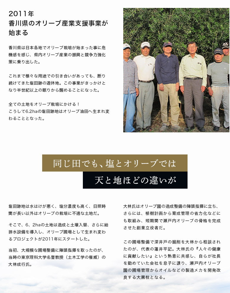 71歳の蓮井平記のエンジニア魂が瀬戸内オリーブ園の進化を支える
広大な圃場の水管理
オリーブは乾燥に強いように思われているが、実は水はけが良い土壌が好きなだけで、実際には水を欲する植物だ。瀬戸内オリーブ園の圃場の目の前は海、そして広大だから、清らかな水を欲する3,000本のオリーブに、十分な水を与えるのは、実に大変なことである。
蓮井は深い井戸を掘り、圃場を区分けして水路を作り、さらに園内のオリーブの根元に点滴チュープを張り巡らした。雨の少ない季節はコンピューター管理で水の供給もできるようにしている。
オリーブオイル生産コストの約半分を占める搾油・ろ過・瓶詰工程の改良
イタリアから輸入した搾油機は蓮井の手で改造が加えられている。
オリーブオイルは唯一、果肉を練ることで油分を抽出する油だが、イタリアの機械には窓がないので、機械の中でオリーブの果肉がどんな状態かを見る事ができない。機械を開ければ見る事ができるが、それでは安全装置が働いて、機械は止まってしまう。当然、果肉の酸化が進み、オイルも酸化する。
そこで、蓮井は小窓を自分で作って練り状態を外から見えるようにした。
オリーブオイルのろ過工程は改良というより、まさにゼロベースで自動化システムを作りあげ、瓶詰までを含め、収穫から12時間以内という、驚異的な生産性を実現する目処も立った。
ご多分に漏れず、高齢化と人口減少の波は香川県坂出でも激しい。だから、いかに少ない労働力で圃場をマネージメントするかは、ビジネスとしての成功の鍵を握る。
そのマネージメントでは、蓮井のエンジニア魂が生み出すメカ達と創意工夫が、重要な役割を担っている。
土壌改良、農薬の削減
瀬戸内オリーブ園の圃場には牡蠣殻が敷き詰められている。弱アルカリ性の土壌を好むオリーブのためだ。また、マリーゴールドの害虫駆除効果を期待してオリーブの根元に植えてもいる。
いずれも試験的な試みであるが、全てはオリーブにも、オリーブ園で働く人間にも優しい環境作りのためだ。