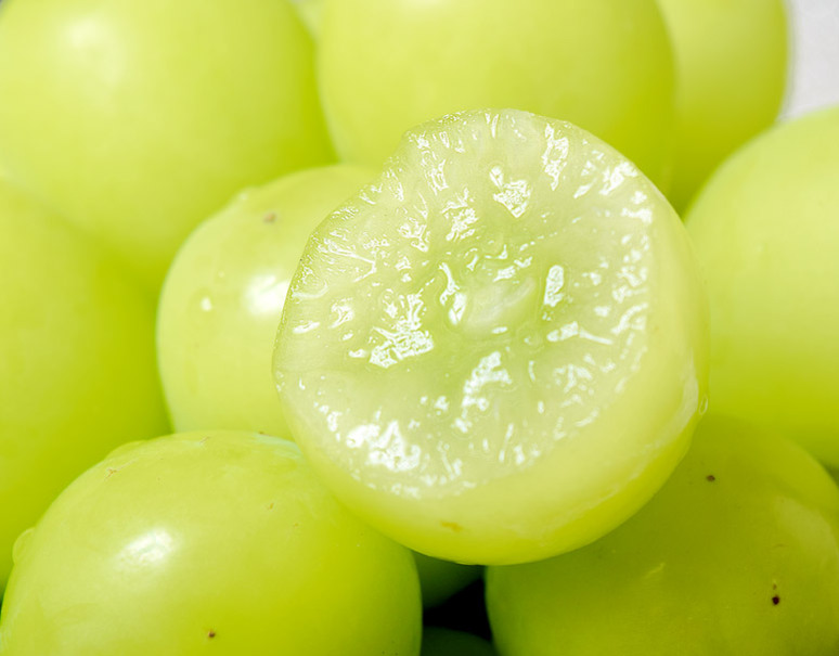 シャインマスカット 長野県産ぶどう 4房 計約1 6kg 常温 美味お取り寄せ Dancyu