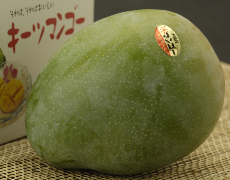 キーツマンゴー 沖縄県産 特大 1玉 約1kg 化粧箱入り 美味お取り寄せ Dancyu