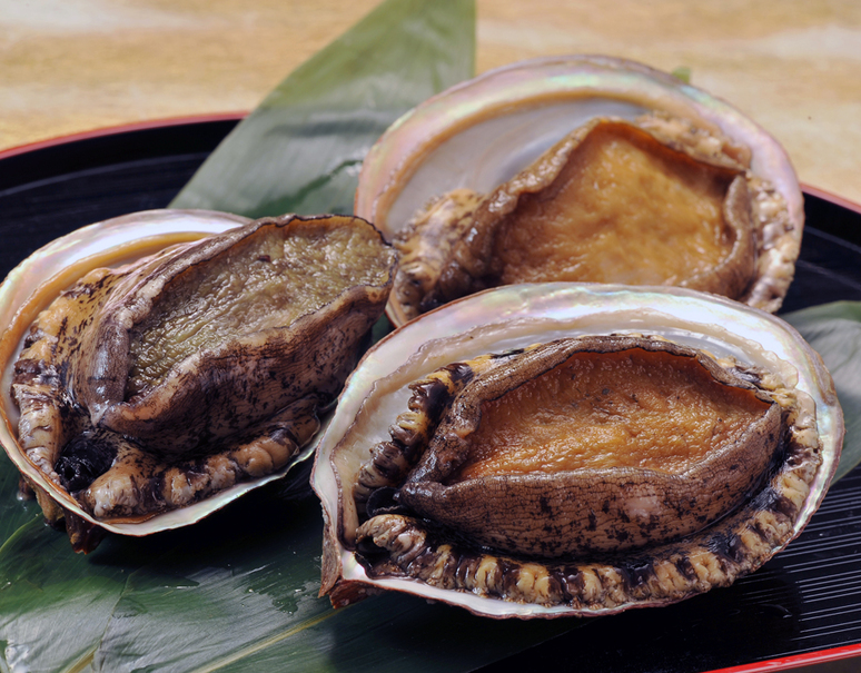 三重県 伊勢志摩産 3種の活あわび食べ比べ 黒 マダカ 赤 各1個 0g 250g 冷蔵 美味お取り寄せ Dancyu