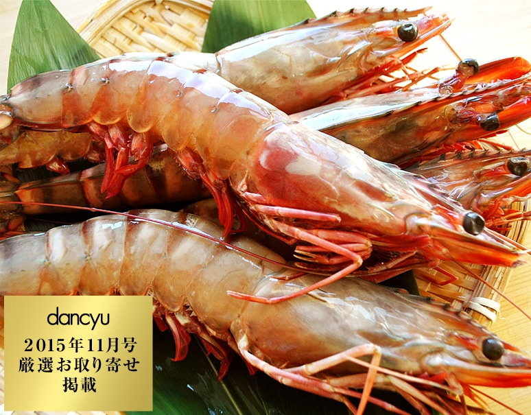 天然シータイガー 約100g 有頭5尾 ブラックタイガー ウシエビ ミャンマー産 冷凍 美味お取り寄せ Dancyu