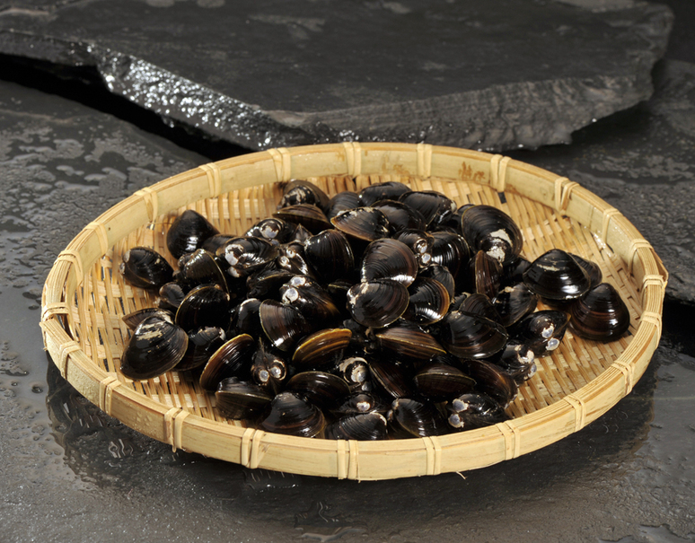 活 ヤマトシジミ 特大 ３l 青森県小川原湖産 約1kg 冷蔵 美味お取り寄せ Dancyu