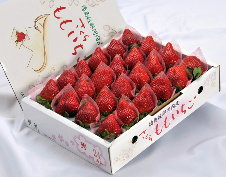 さくらももいちご 徳島県佐那河内産 約700g 28粒 化粧箱 美味お取り寄せ Dancyu