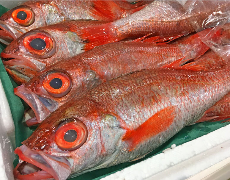 ノドグロ アカムツ 1尾 500g前後 日立産 冷蔵 豊洲市場直送 美味お取り寄せ Dancyu