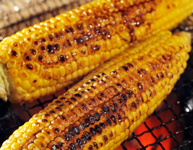 神山さん・並木さんのとうもろこし『ゴールドラッシュ』千葉県八街産 10本（約3kg） ※冷蔵｜美味お取り寄せ。dancyu