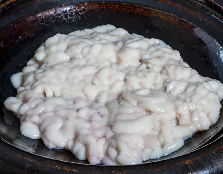 真鱈の本白子 2特 北海道産 1箱 約1kg 冷蔵 豊洲市場直送 美味お取り寄せ Dancyu