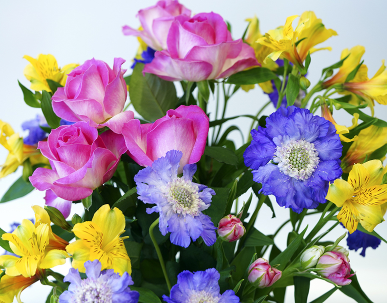 葛西市場よりお届け 季節のお花 色はおまかせセット 生花 3 5品種 30本以上 常温 美味お取り寄せ Dancyu