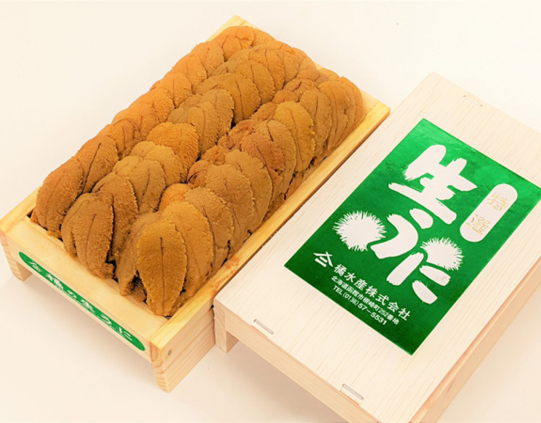 橘 バフンウニ 弁当箱 並び 特上品 約300g 北海道産 冷蔵 豊洲市場直送 美味お取り寄せ Dancyu