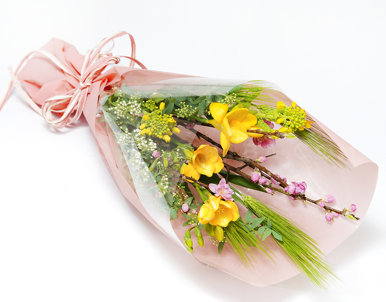 ひな祭りにおすすめ 春の花束 桃 ムギ フリージア他 計14本前後 ラッピング済み 常温 美味お取り寄せ Dancyu